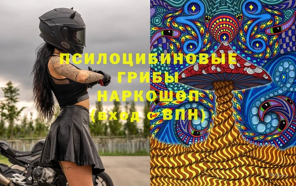 jwh Бородино